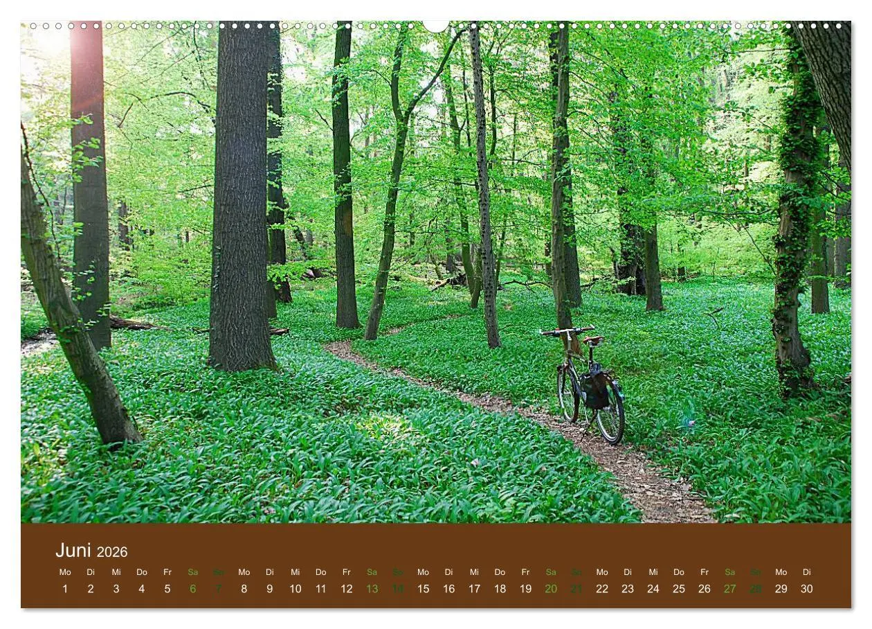 Bild: 9783516023374 | Mit dem Fahrrad durch 2026 (hochwertiger Premium Wandkalender 2026...