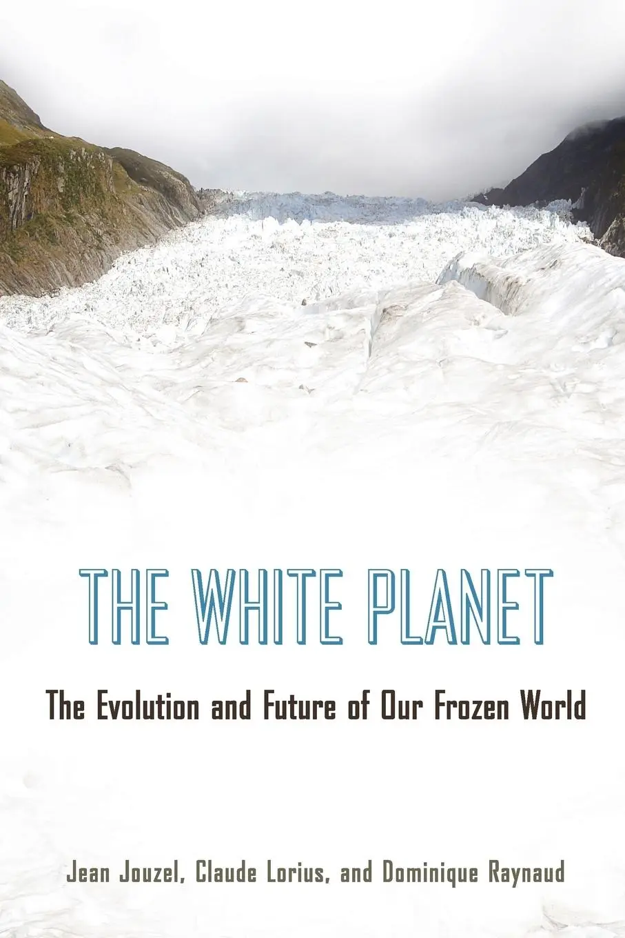 Cover: 9780691173474 | The White Planet | The Evolution and Future of Our Frozen World | Buch