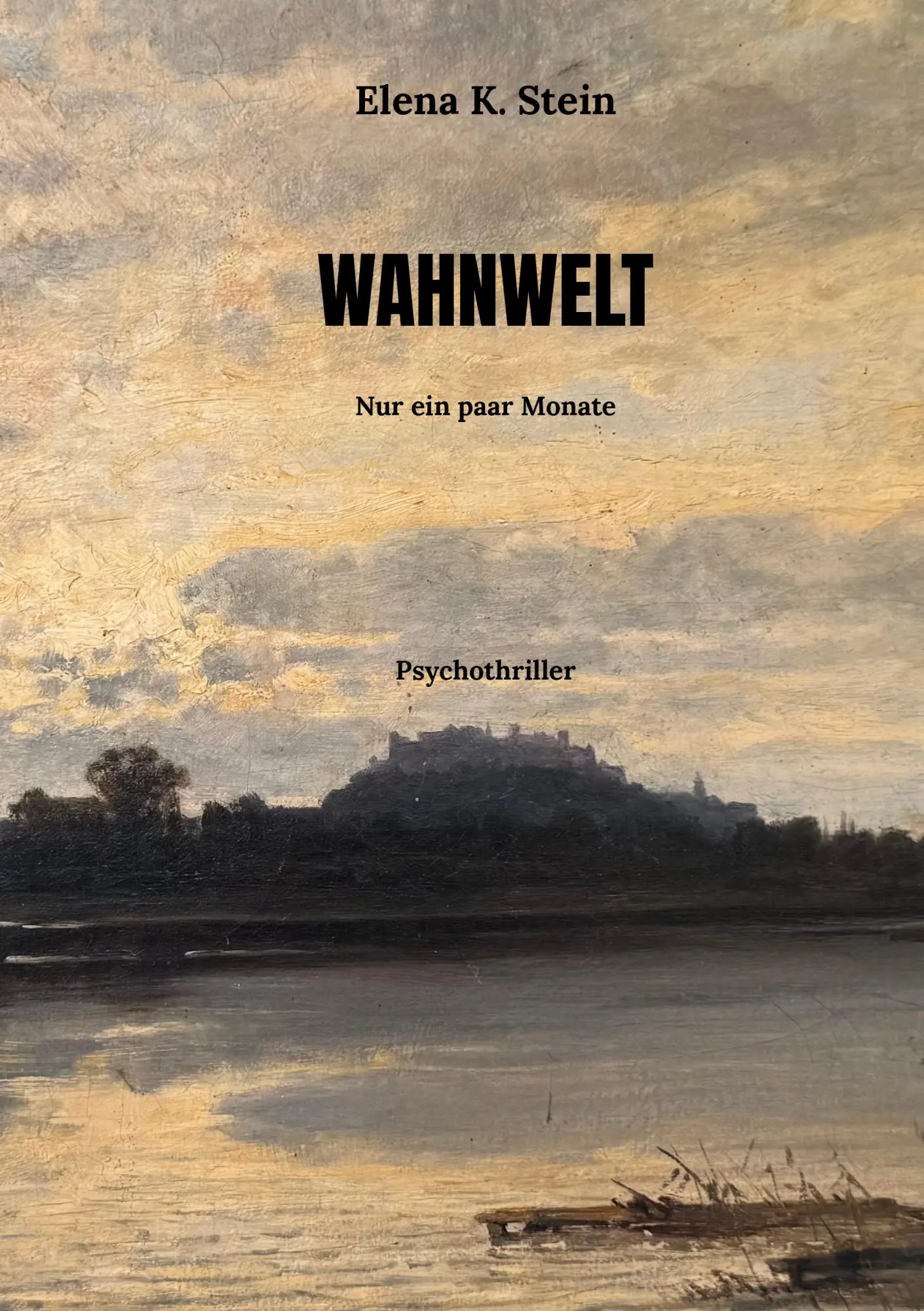 Cover: 9783384973474 | WAHNWELT | Nur ein paar Monate | Elena K. Stein | Taschenbuch | 420 S.
