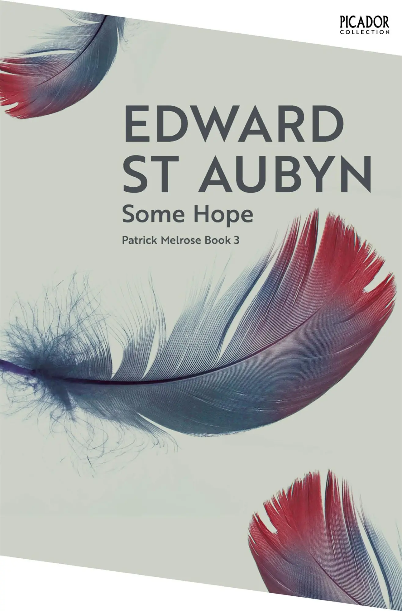 Cover: 9781035063574 | Some Hope | Edward St Aubyn | Taschenbuch | Englisch | 2025