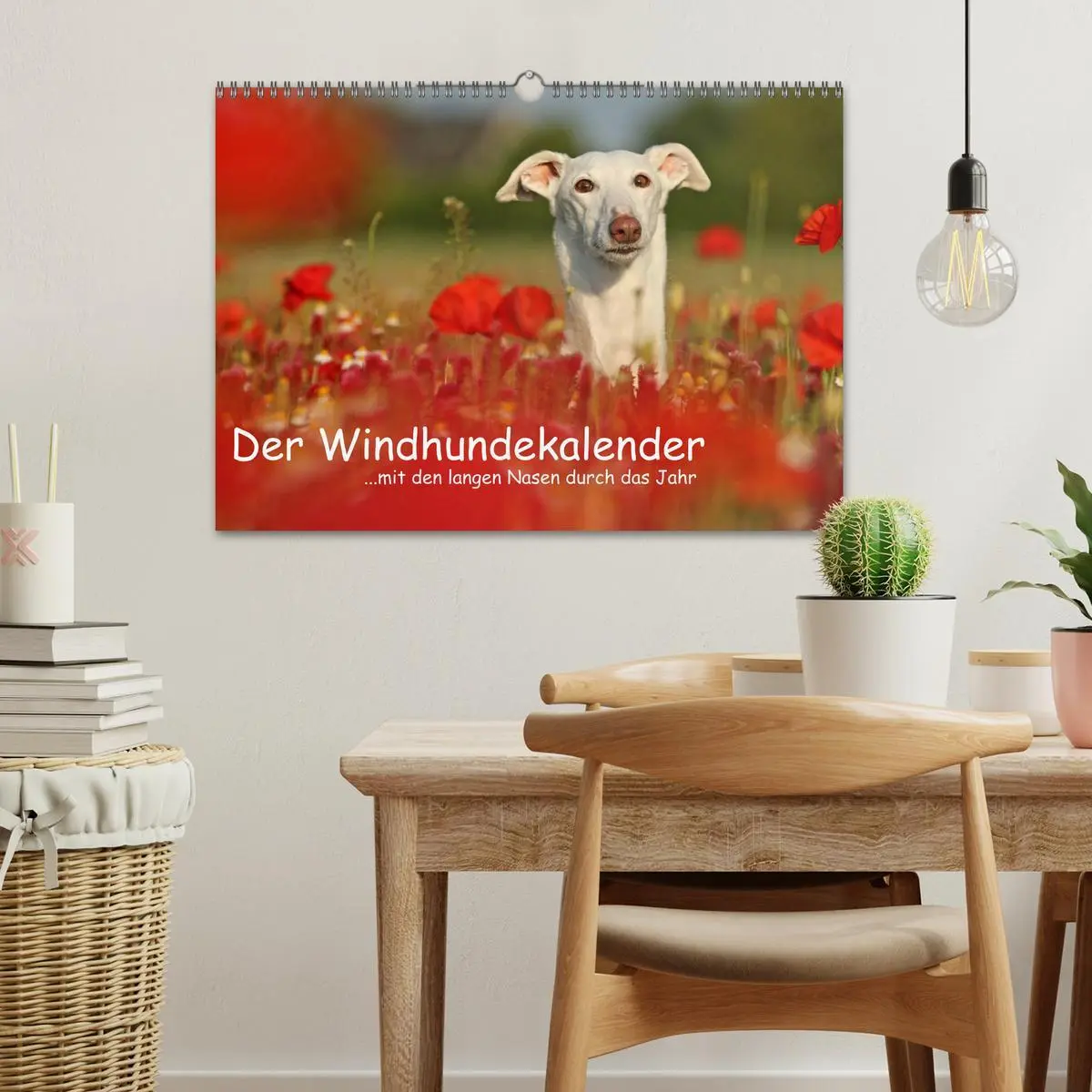 Bild: 9783516173574 | Der Windhundekalender (Wandkalender 2026 DIN A3 quer), CALVENDO...