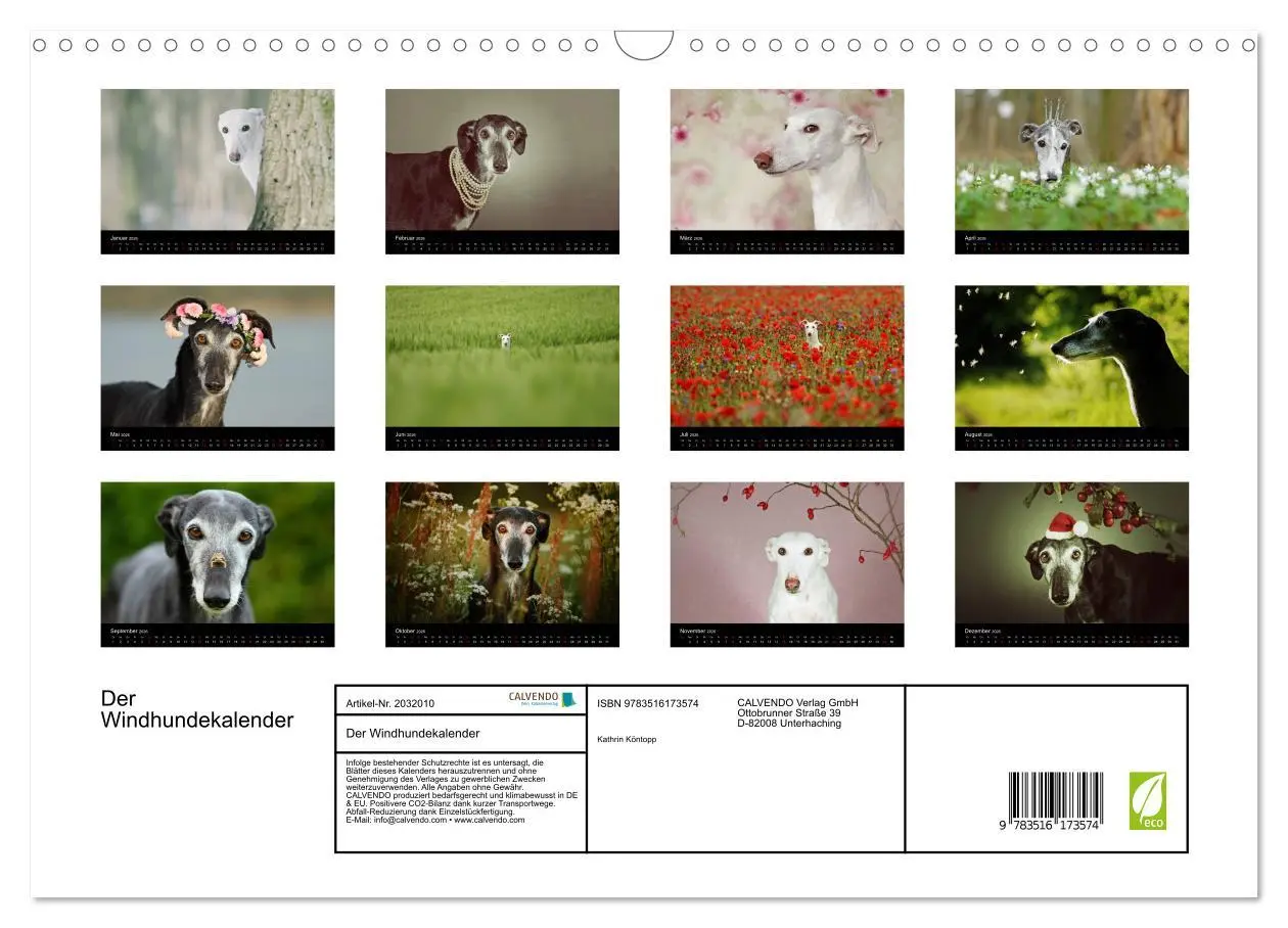 Bild: 9783516173574 | Der Windhundekalender (Wandkalender 2026 DIN A3 quer), CALVENDO...