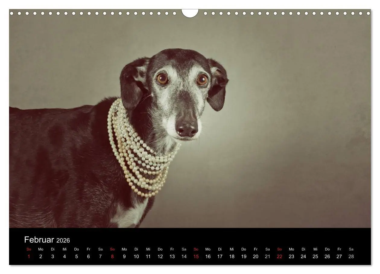 Bild: 9783516173574 | Der Windhundekalender (Wandkalender 2026 DIN A3 quer), CALVENDO...