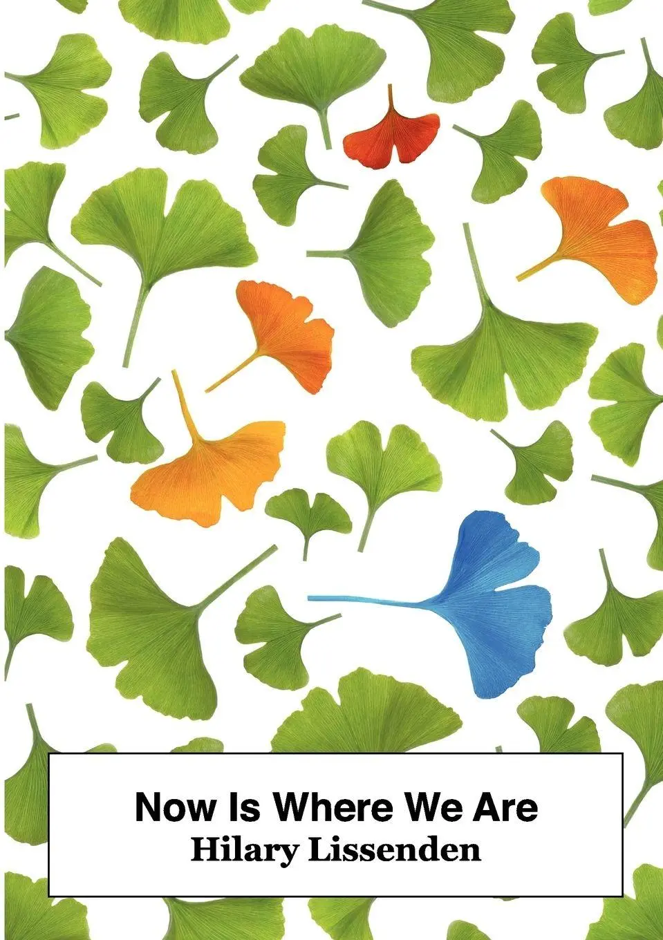 Cover: 9780955893674 | Now Is Where We Are | Hilary Lissenden | Taschenbuch | Englisch | 2012