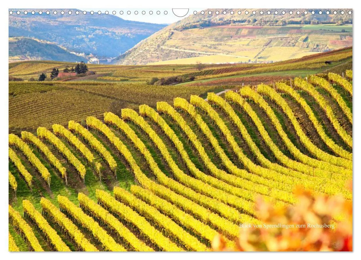 Bild: 9783435503674 | Himmel über Rheinhessen (Wandkalender 2025 DIN A3 quer), CALVENDO...