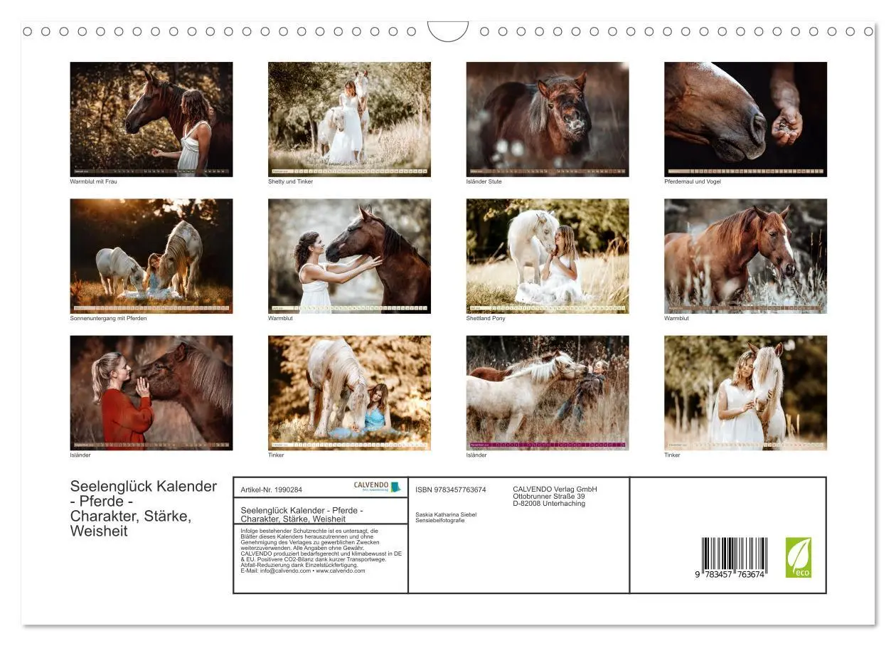 Bild: 9783457763674 | Seelenglück Kalender - Pferde - Charakter, Stärke, Weisheit...