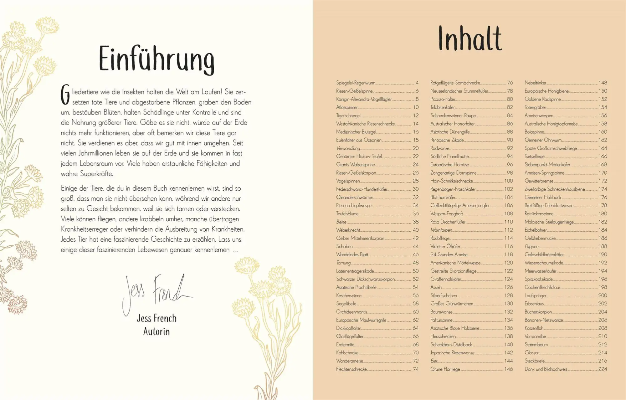 Bild: 9783831053674 | Wundervolle Welt der Insekten und Spinnentiere | Jess French | Buch