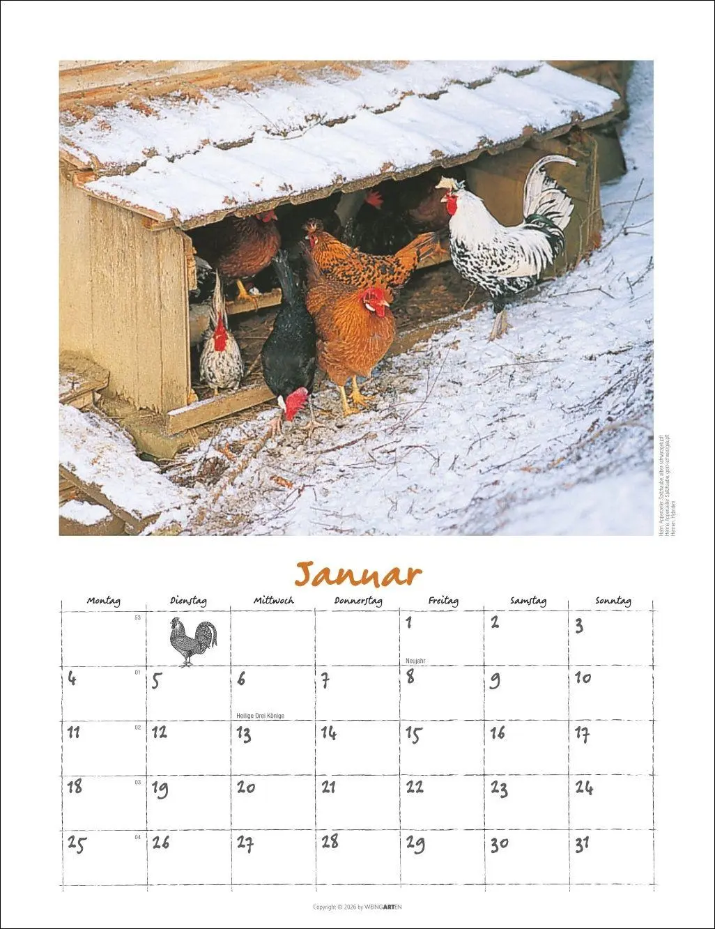 Bild: 9783839903674 | Der Hühnerkalender 2027 | Wolf-Dietmar Unterweger | Kalender | 14 S.