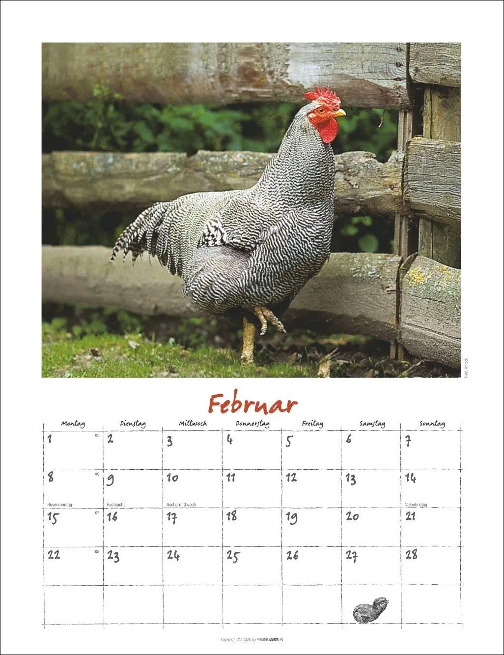 Bild: 9783839903674 | Der Hühnerkalender 2027 | Wolf-Dietmar Unterweger | Kalender | 14 S.