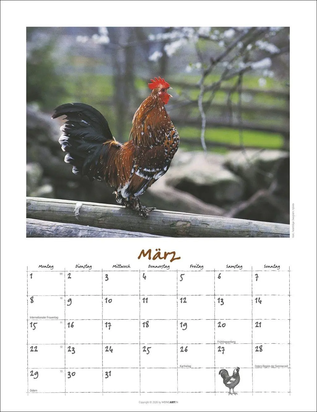 Bild: 9783839903674 | Der Hühnerkalender 2027 | Wolf-Dietmar Unterweger | Kalender | 14 S.