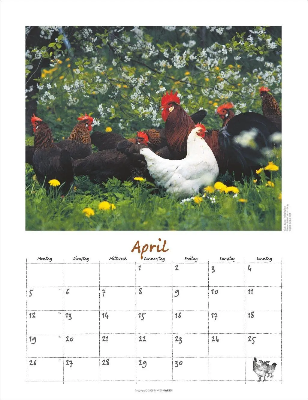 Bild: 9783839903674 | Der Hühnerkalender 2027 | Wolf-Dietmar Unterweger | Kalender | 14 S.