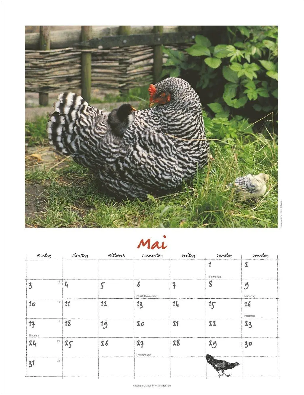 Bild: 9783839903674 | Der Hühnerkalender 2027 | Wolf-Dietmar Unterweger | Kalender | 14 S.