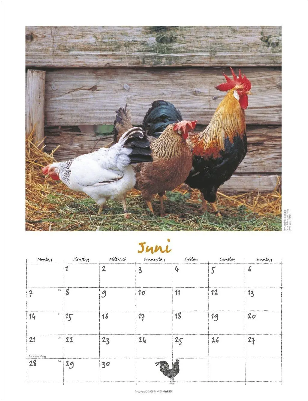 Bild: 9783839903674 | Der Hühnerkalender 2027 | Wolf-Dietmar Unterweger | Kalender | 14 S.