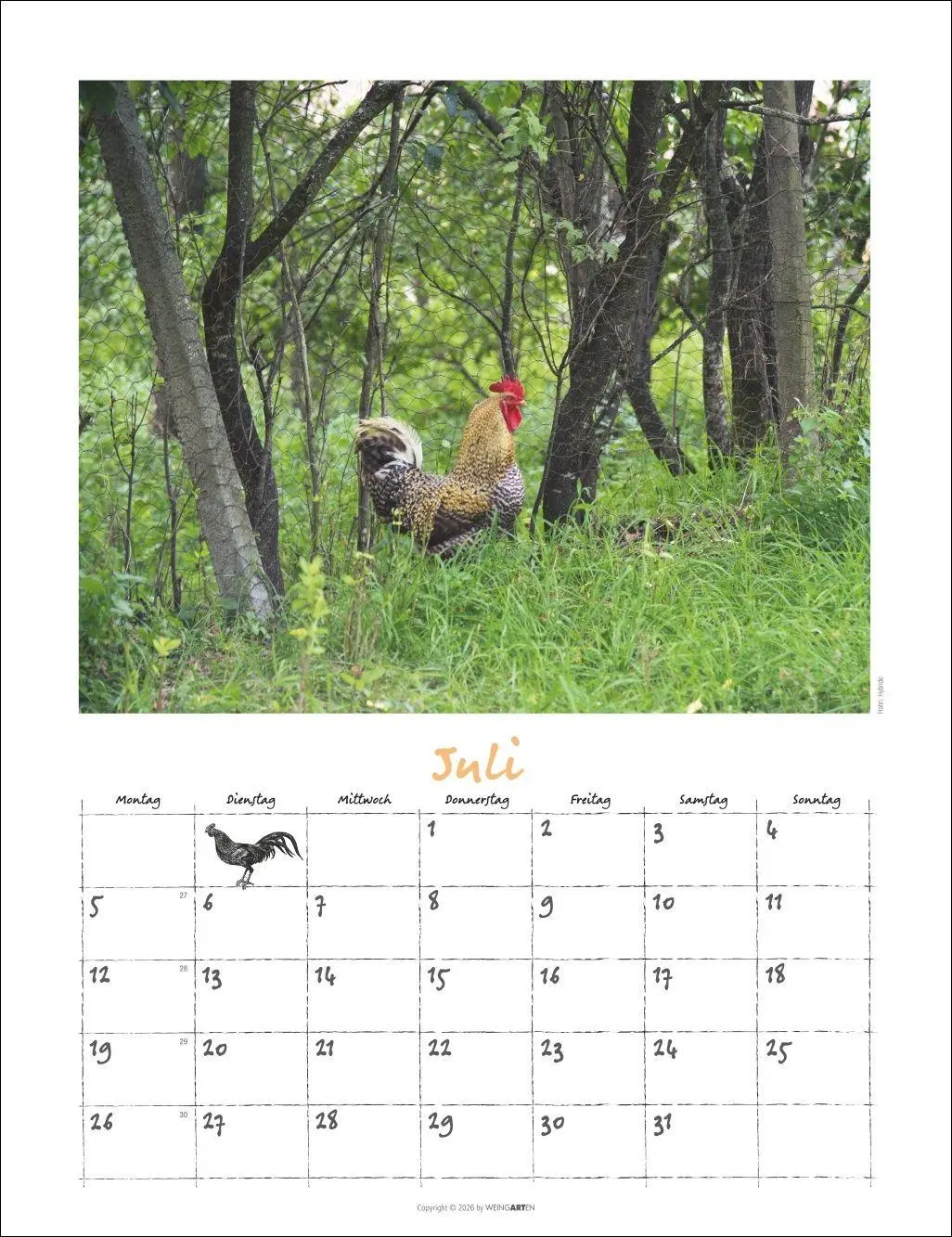 Bild: 9783839903674 | Der Hühnerkalender 2027 | Wolf-Dietmar Unterweger | Kalender | 14 S.