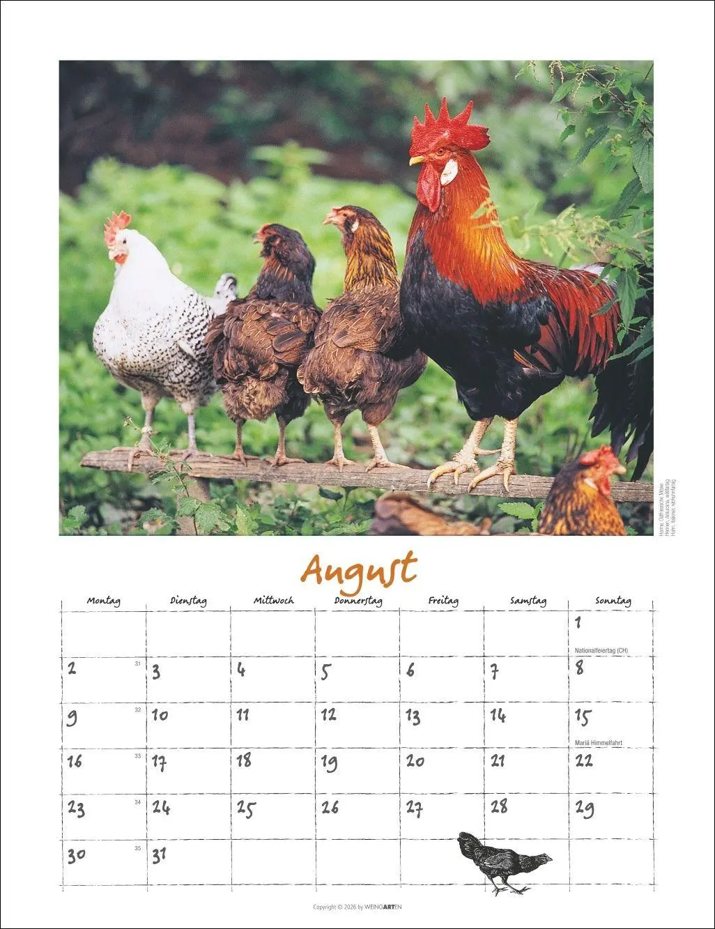 Bild: 9783839903674 | Der Hühnerkalender 2027 | Wolf-Dietmar Unterweger | Kalender | 14 S.