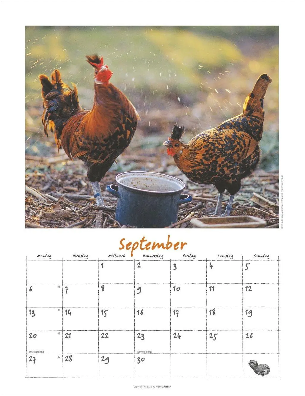 Bild: 9783839903674 | Der Hühnerkalender 2027 | Wolf-Dietmar Unterweger | Kalender | 14 S.
