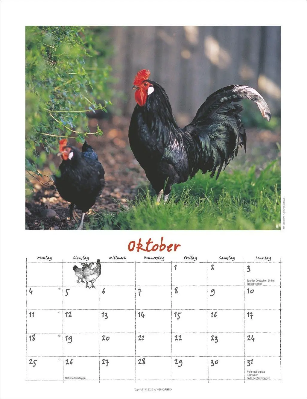 Bild: 9783839903674 | Der Hühnerkalender 2027 | Wolf-Dietmar Unterweger | Kalender | 14 S.
