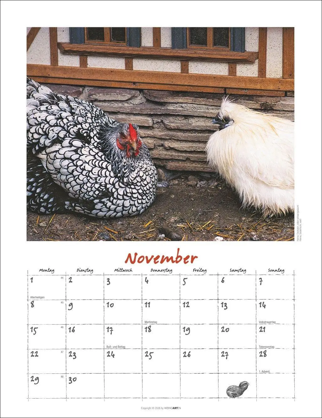 Bild: 9783839903674 | Der Hühnerkalender 2027 | Wolf-Dietmar Unterweger | Kalender | 14 S.