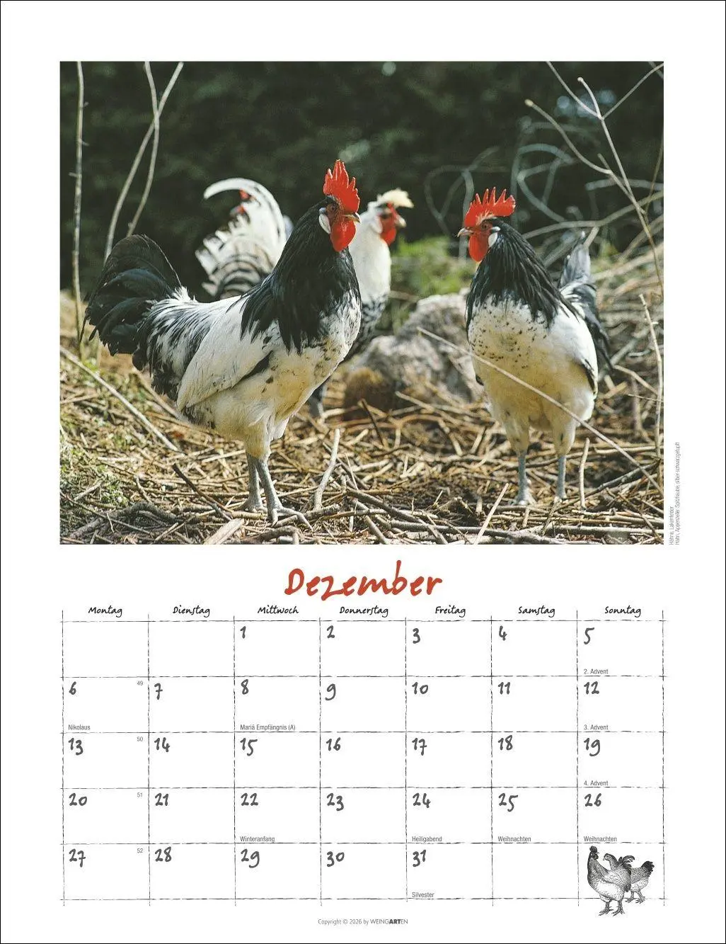 Bild: 9783839903674 | Der Hühnerkalender 2027 | Wolf-Dietmar Unterweger | Kalender | 14 S.