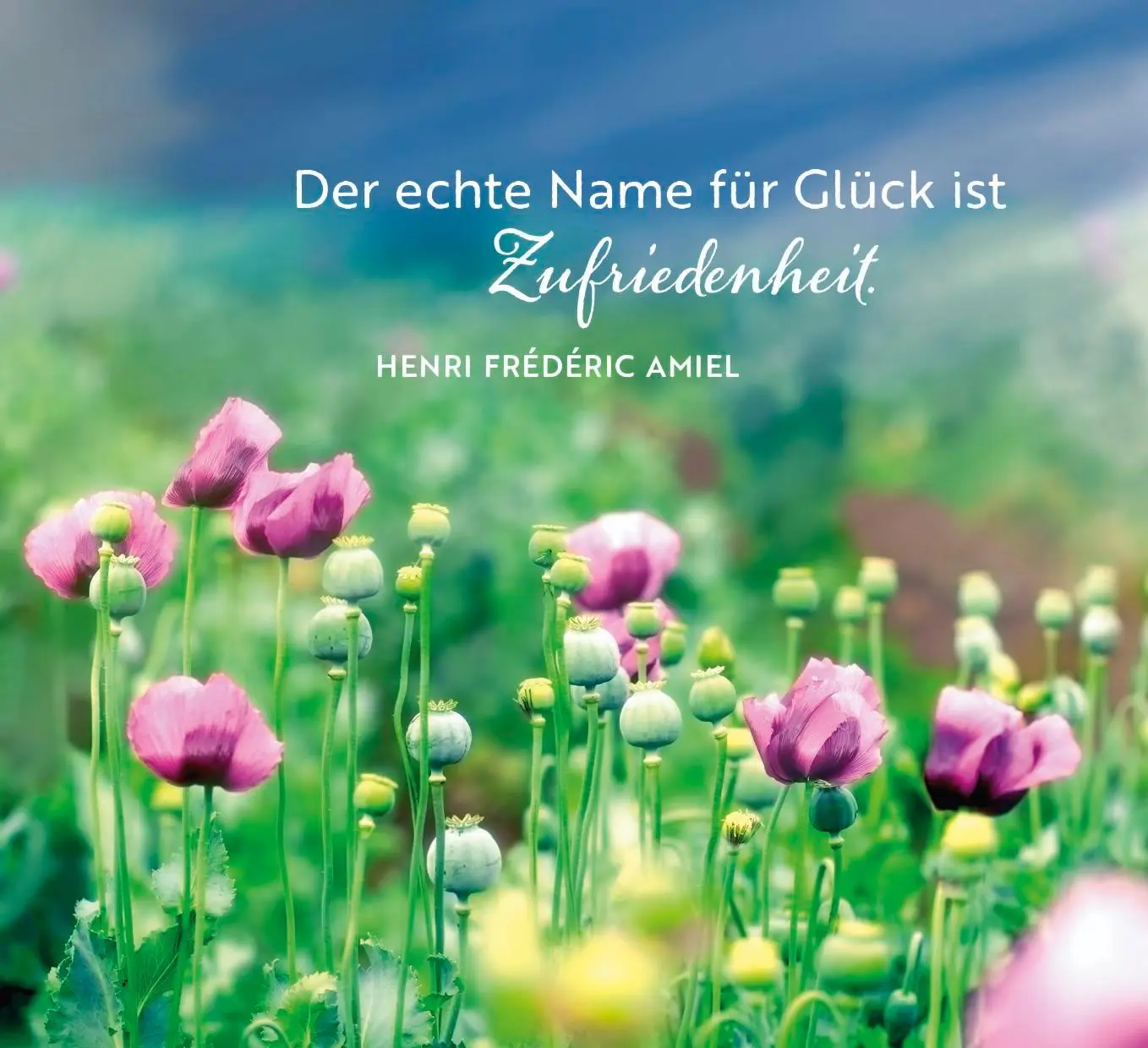 Bild: 9783848503674 | Nimm dir Zeit, um glücklich zu sein | Groh Verlag | Taschenbuch | 2025
