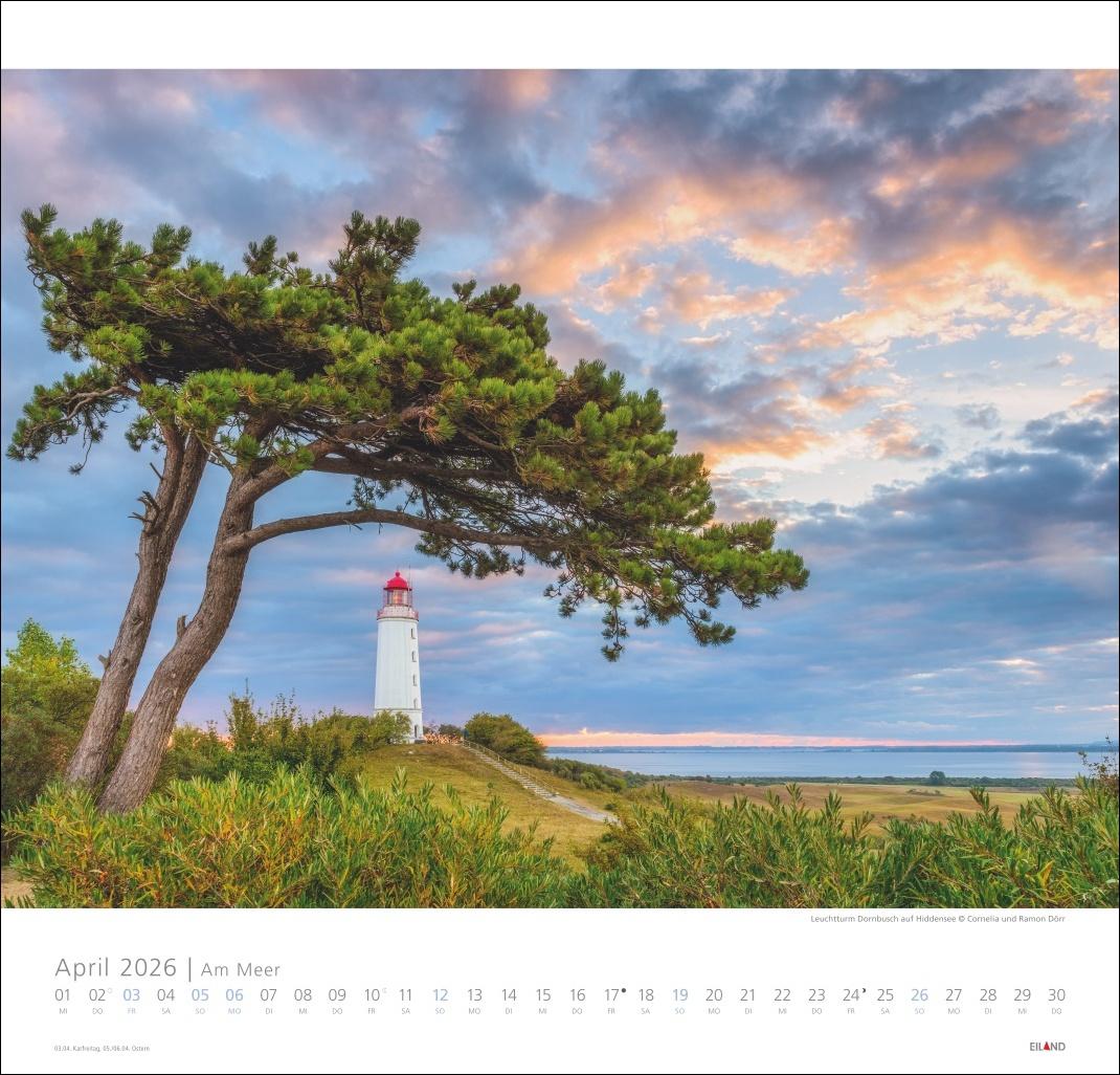 Bild: 9783964023674 | Am Meer Edition Kalender 2026 - Sand, Wind und Wellen | Hans Jessel