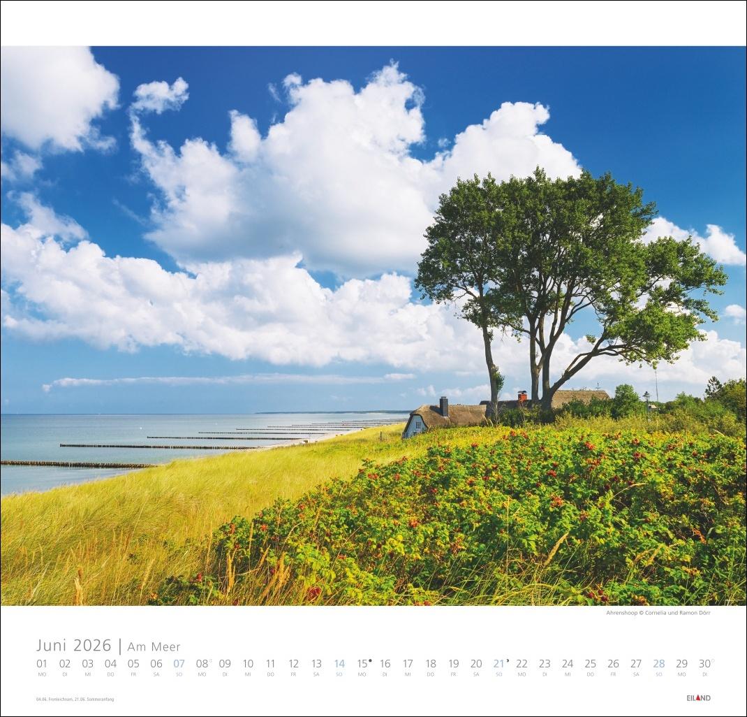 Bild: 9783964023674 | Am Meer Edition Kalender 2026 - Sand, Wind und Wellen | Hans Jessel