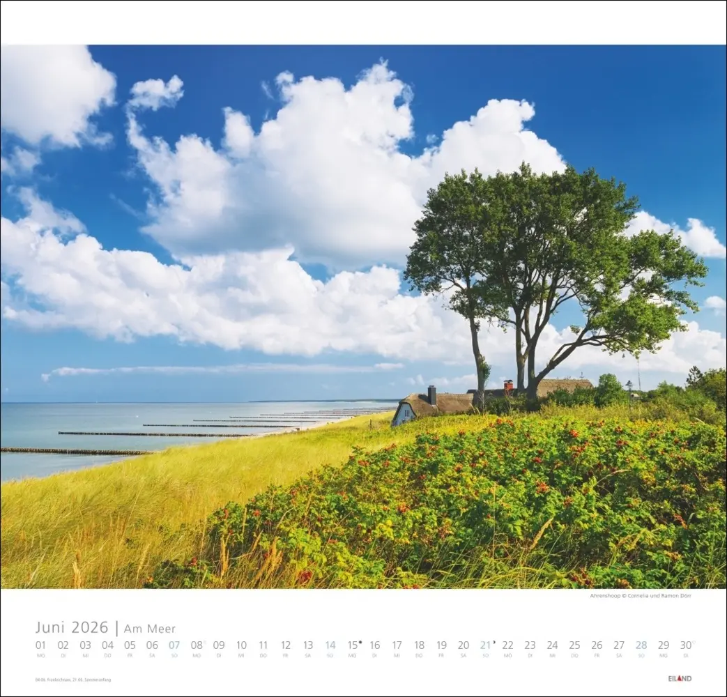 Bild: 9783964023674 | Am Meer Edition Kalender 2026 - Sand, Wind und Wellen | Kalender