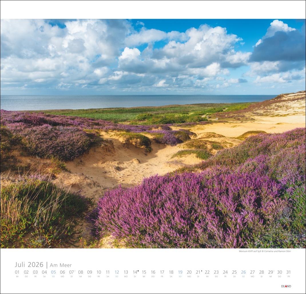 Bild: 9783964023674 | Am Meer Edition Kalender 2026 - Sand, Wind und Wellen | Hans Jessel