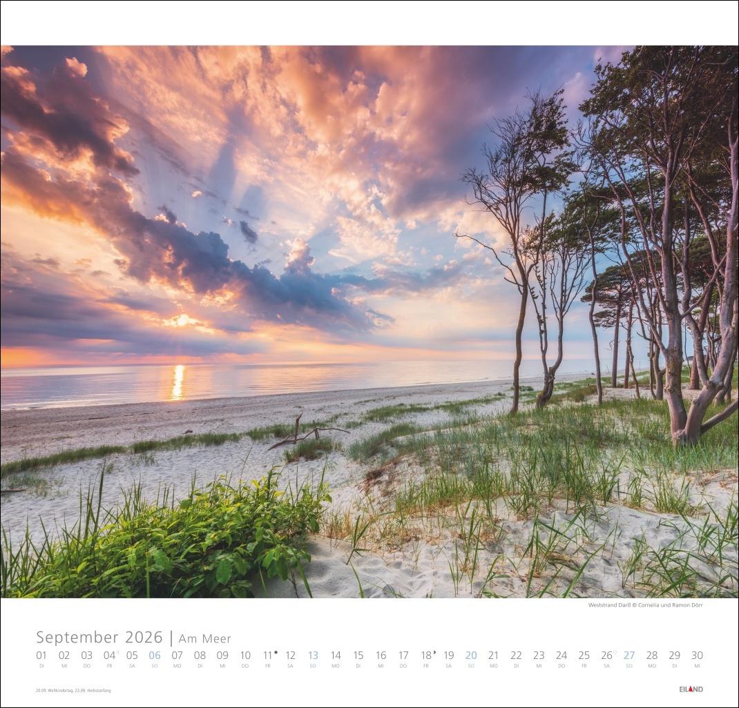 Bild: 9783964023674 | Am Meer Edition Kalender 2026 - Sand, Wind und Wellen | Hans Jessel