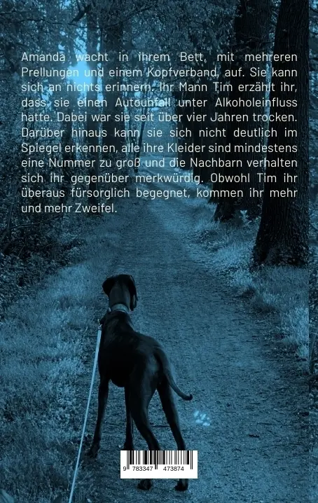 Autor: 9783347473874 | Jennings | Louisiana | Markus Türk | Taschenbuch | 260 S. | Deutsch