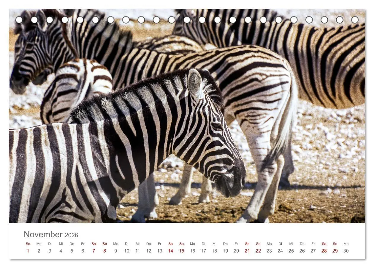 Bild: 9783457433874 | Namibia - Land im Süden Afrikas (Tischkalender 2026 DIN A5 quer),...