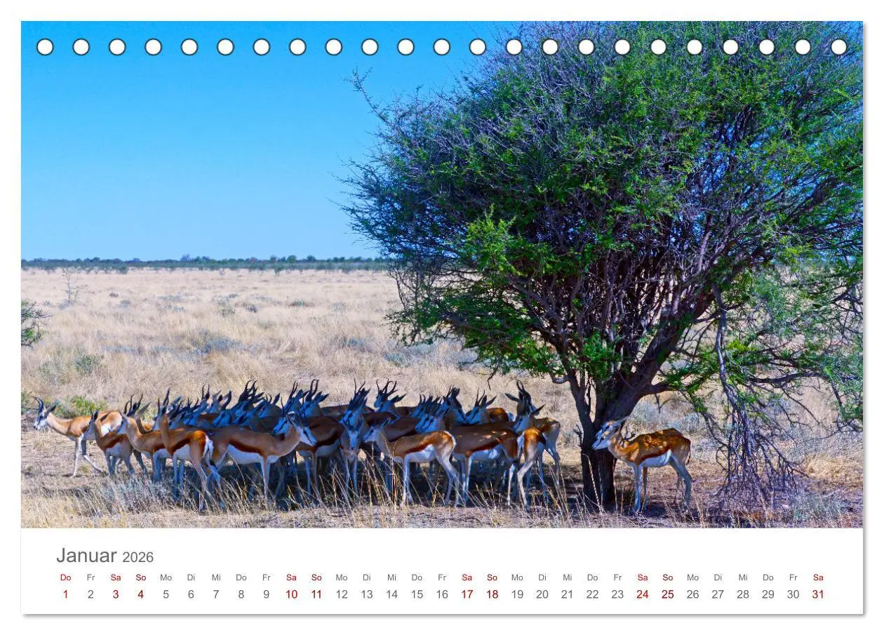 Bild: 9783457433874 | Namibia - Land im Süden Afrikas (Tischkalender 2026 DIN A5 quer),...