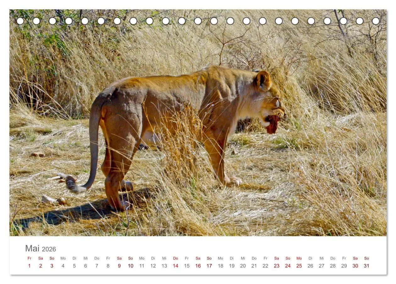 Bild: 9783457433874 | Namibia - Land im Süden Afrikas (Tischkalender 2026 DIN A5 quer),...