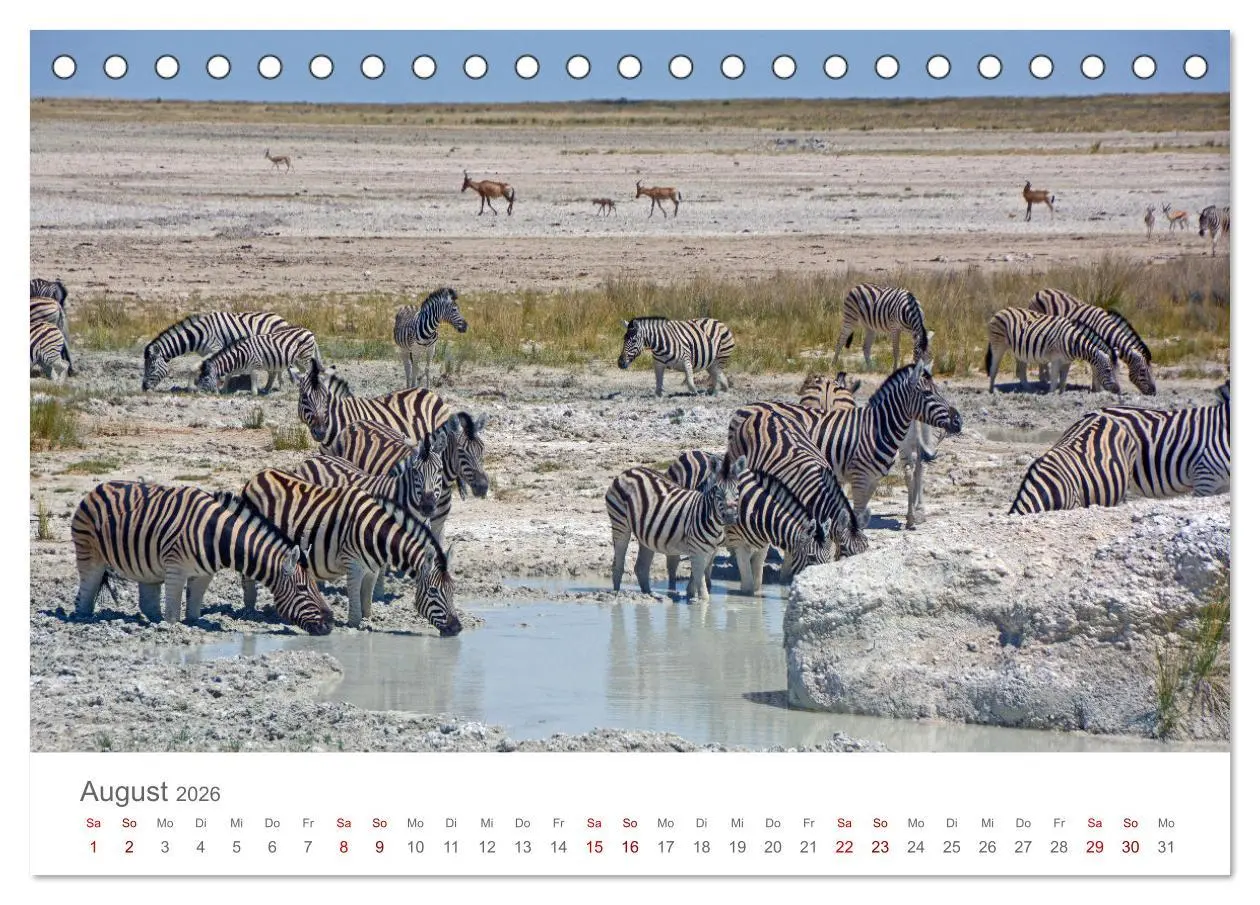 Bild: 9783457433874 | Namibia - Land im Süden Afrikas (Tischkalender 2026 DIN A5 quer),...
