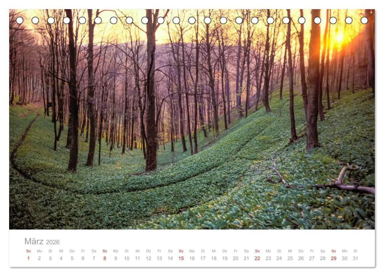 Bild: 9783516213874 | SCHWÄBISCHE ALB W.Dieterich (Tischkalender 2026 DIN A5 quer),...