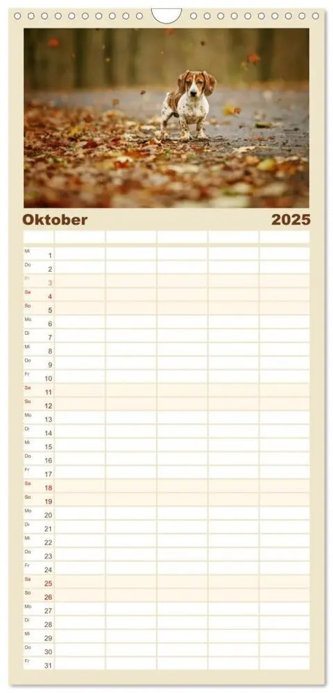 Bild: 9783457113974 | Familienplaner 2025 - Die Dackel daggeln.... mit 5 Spalten...