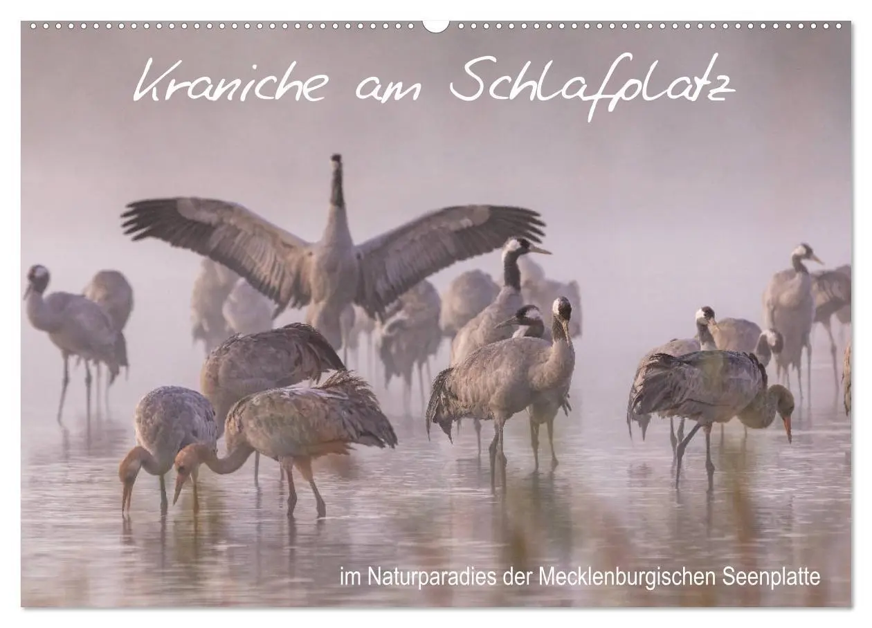 Cover: 9783457803974 | Kraniche am Schlafplatz - im Naturparadies der Mecklenburgischen...