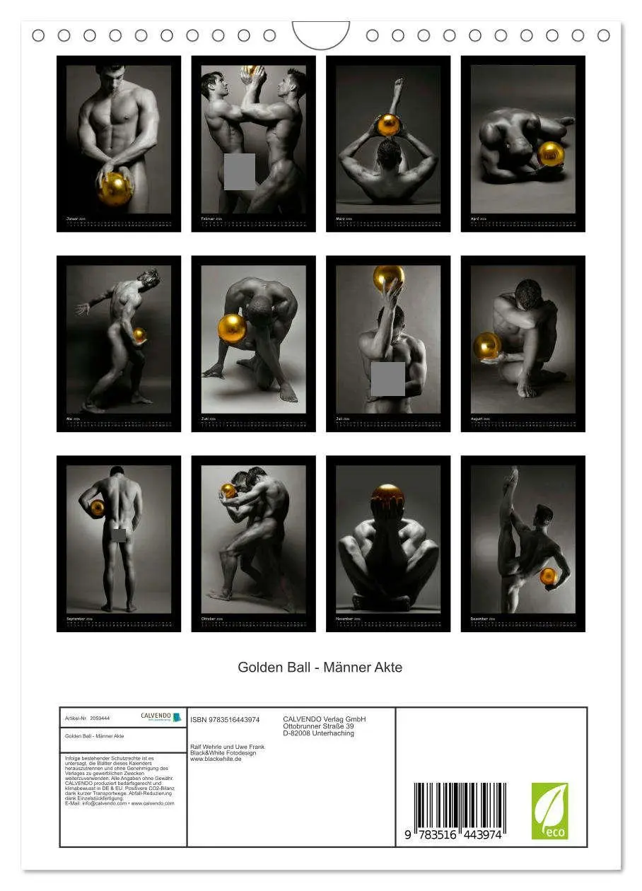 Bild: 9783516443974 | Golden Ball - Männer Akte (Wandkalender 2026 DIN A4 hoch), CALVENDO...