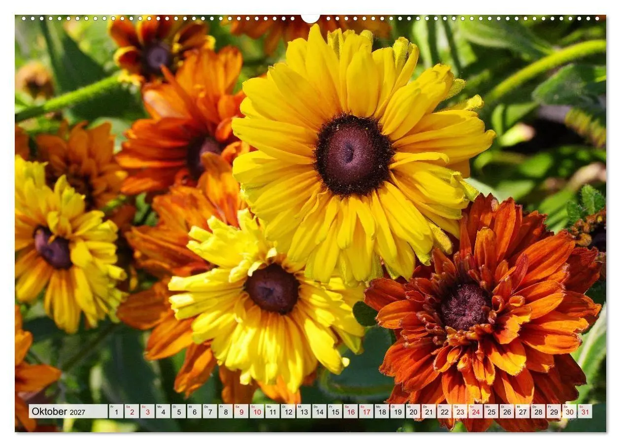 Bild: 9783516753974 | Blumen, bunt gemischt (Wandkalender 2027 DIN A2 quer), CALVENDO...