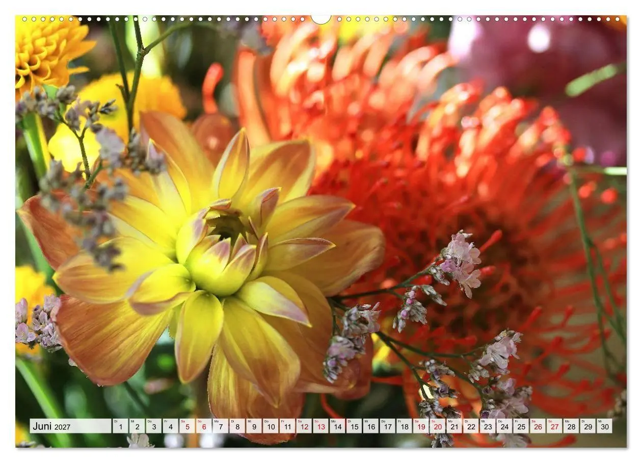 Bild: 9783516753974 | Blumen, bunt gemischt (Wandkalender 2027 DIN A2 quer), CALVENDO...