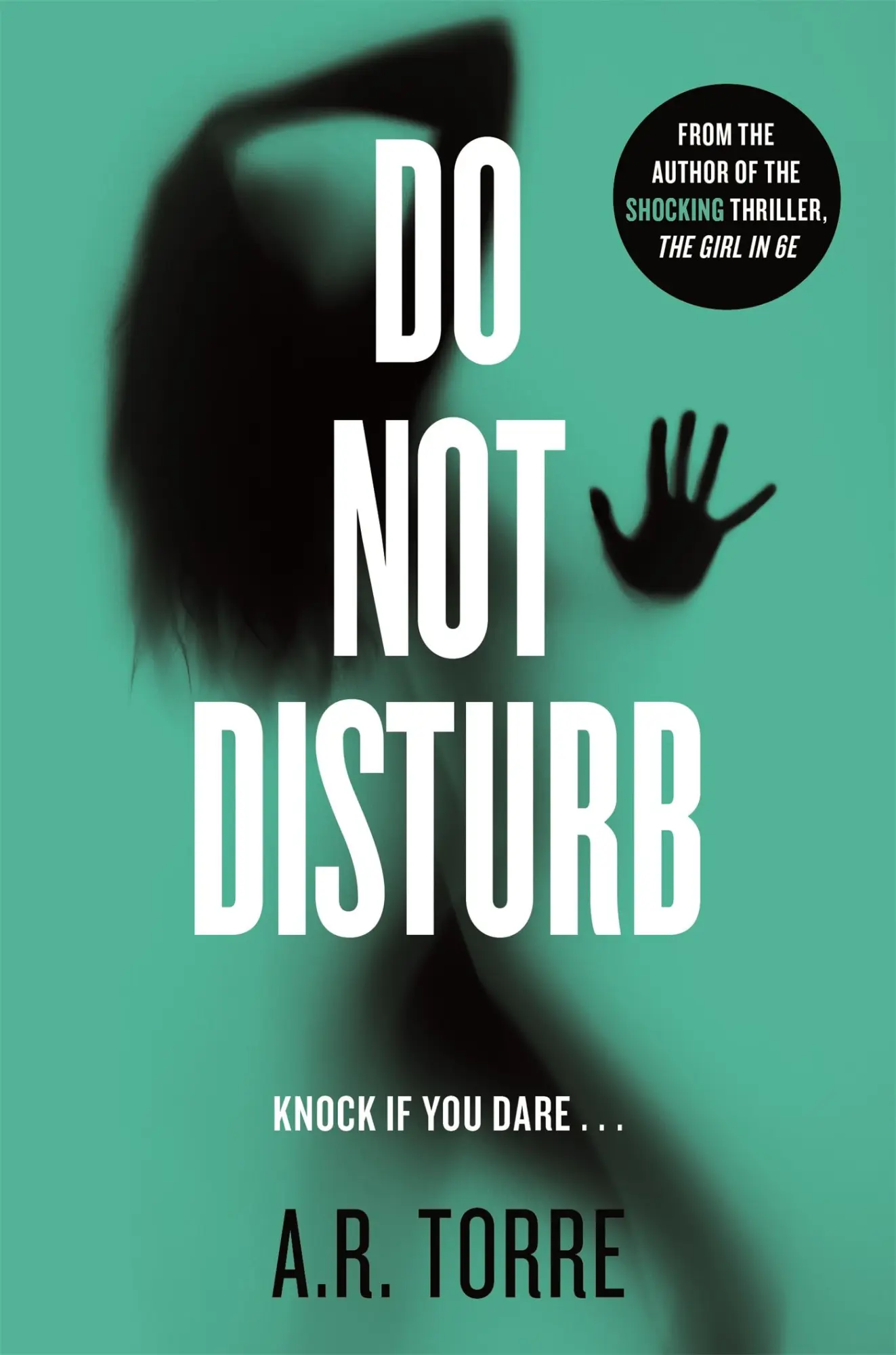 Cover: 9781409154174 | Do Not Disturb | A. R. Torre | Taschenbuch | Kartoniert / Broschiert