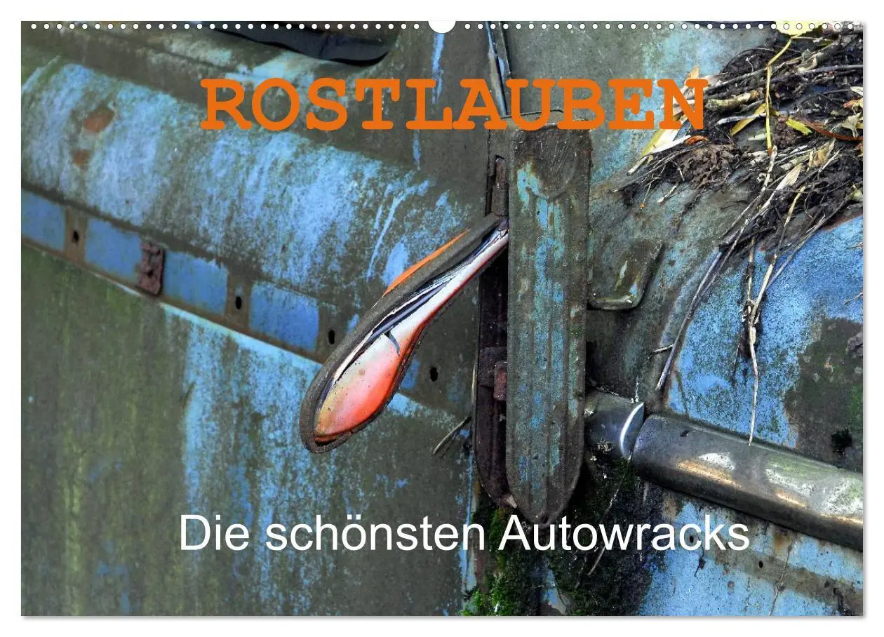 Cover: 9783516174274 | ROSTLAUBEN Die schönsten Autowracks (Wandkalender 2026 DIN A2...