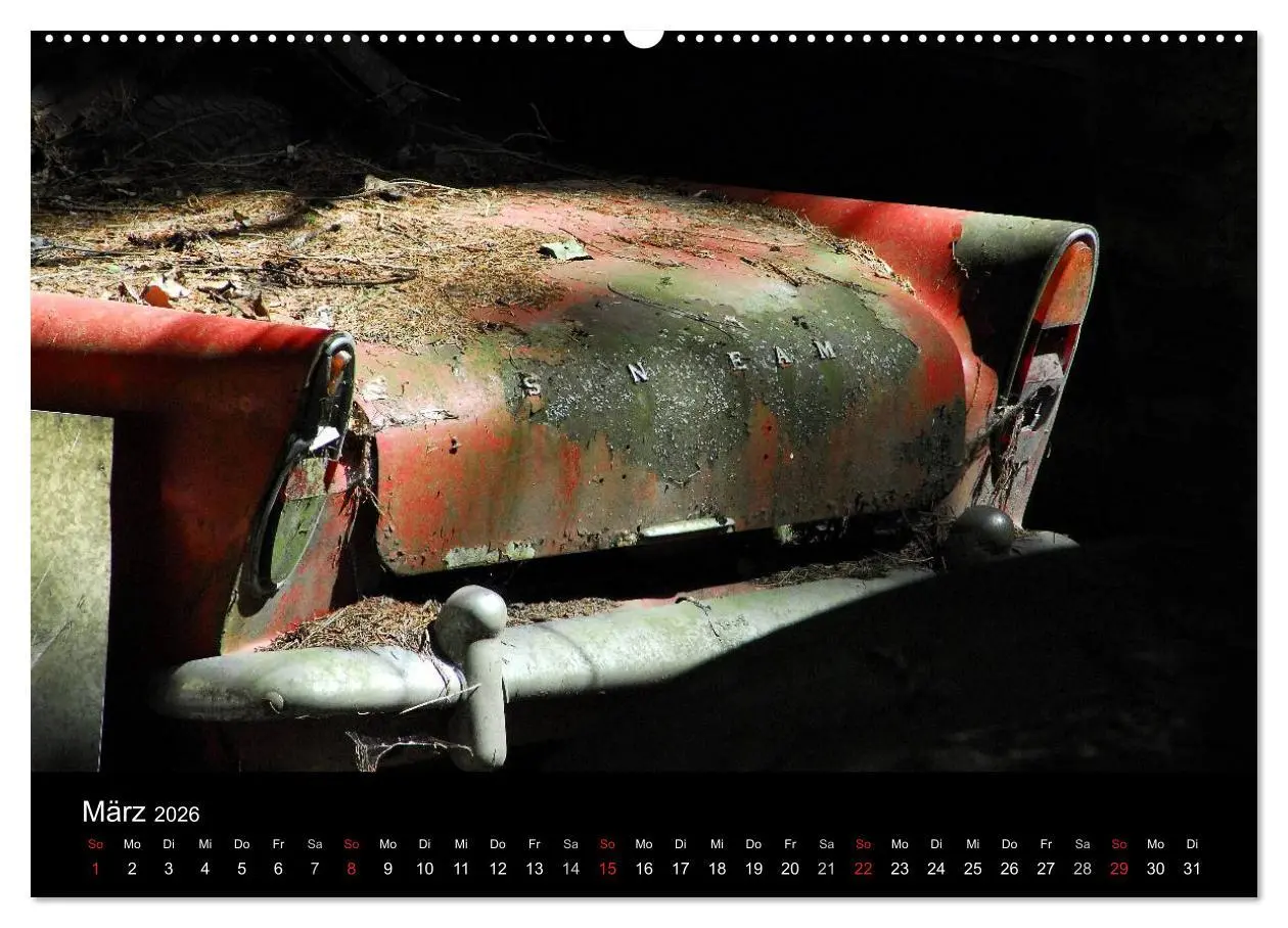 Bild: 9783516174274 | ROSTLAUBEN Die schönsten Autowracks (Wandkalender 2026 DIN A2...