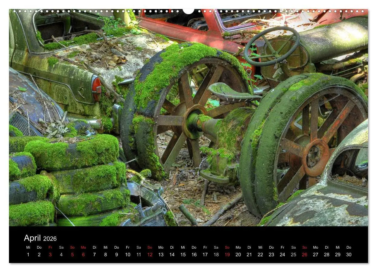 Bild: 9783516174274 | ROSTLAUBEN Die schönsten Autowracks (Wandkalender 2026 DIN A2...