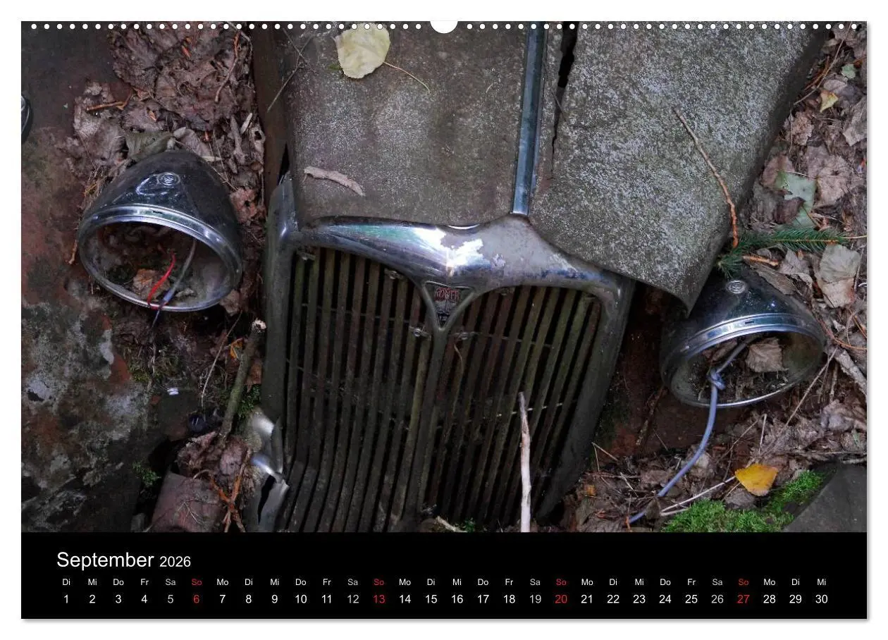 Bild: 9783516174274 | ROSTLAUBEN Die schönsten Autowracks (Wandkalender 2026 DIN A2...