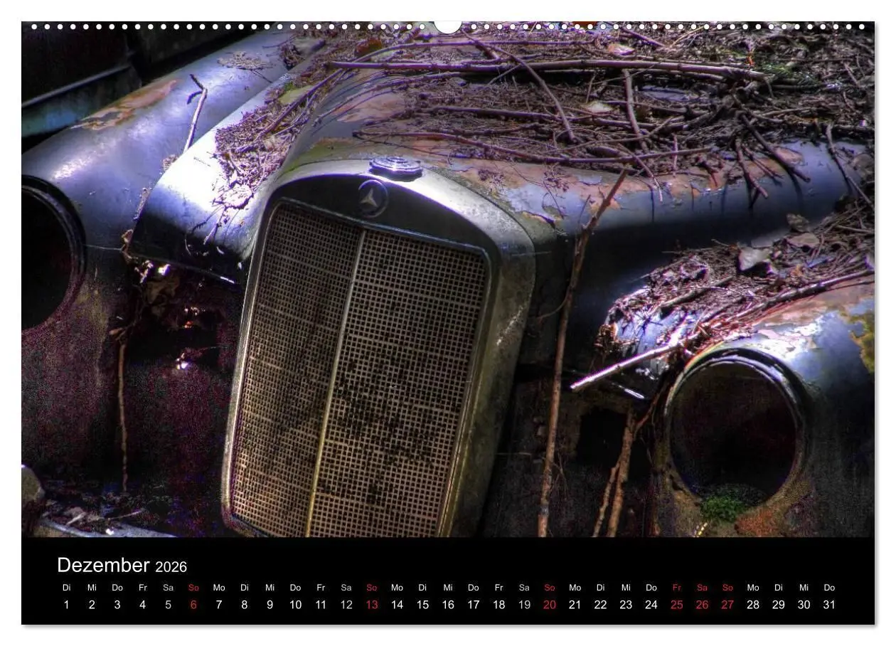Bild: 9783516174274 | ROSTLAUBEN Die schönsten Autowracks (Wandkalender 2026 DIN A2...