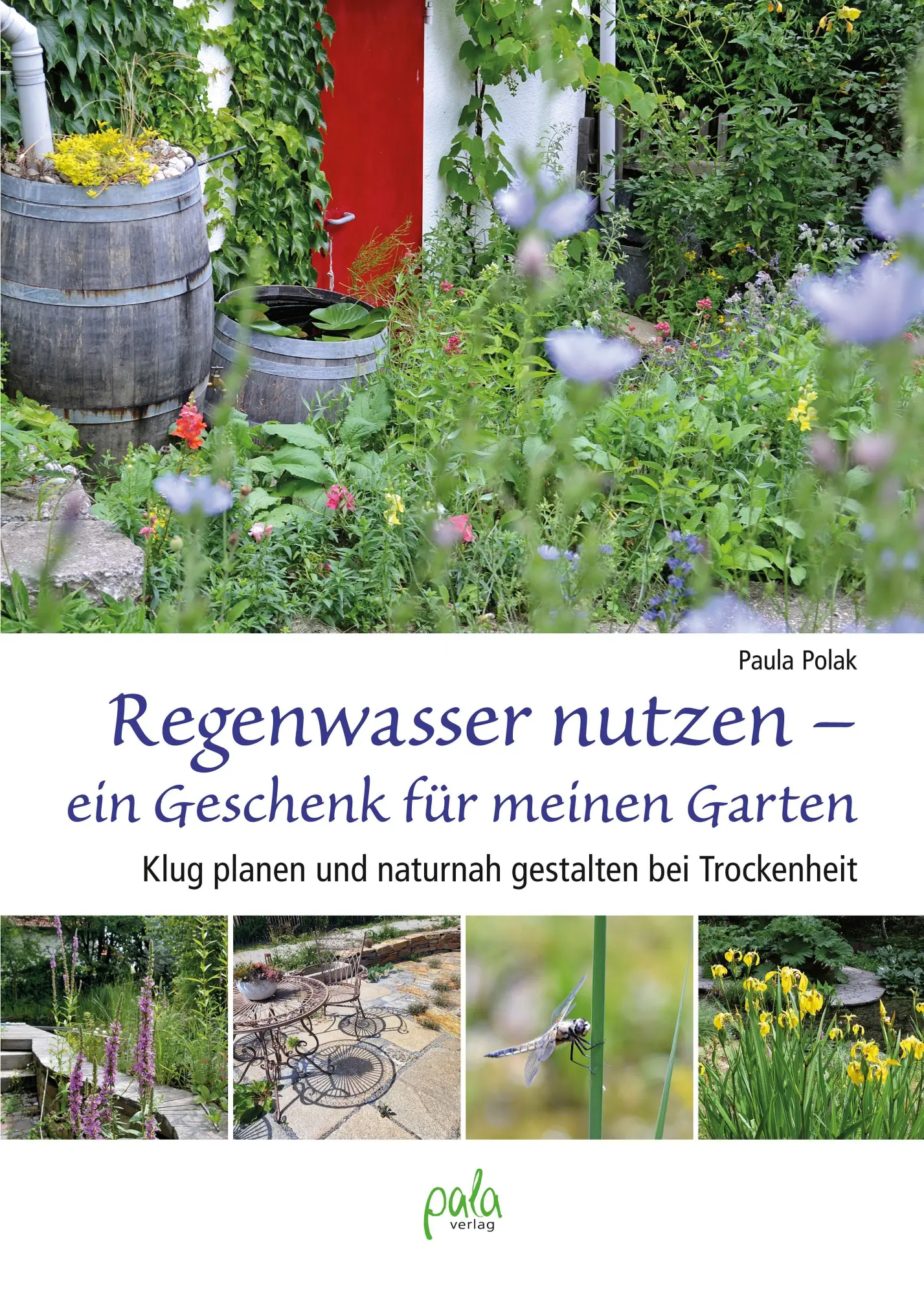 Cover: 9783895664274 | Regenwasser nutzen - ein Geschenk für meinen Garten | Paula Polak