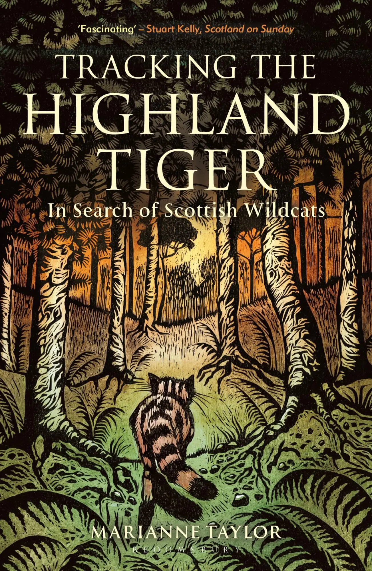 Cover: 9781472954374 | Tracking the Highland Tiger | In Search of Scottish Wildcats | Taylor