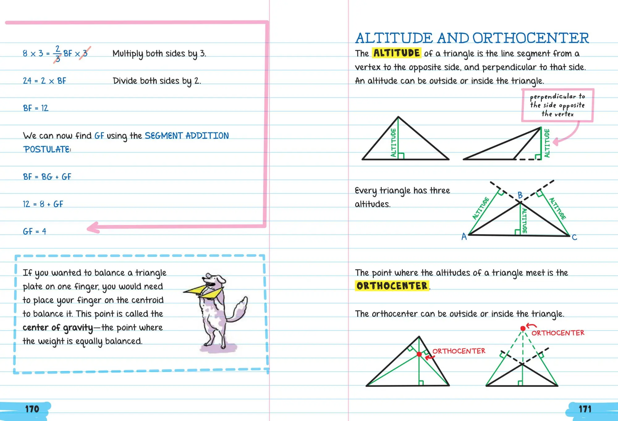 Bild: 9781523504374 | Everything You Need to Ace Geometry in One Big Fat Notebook | Buch