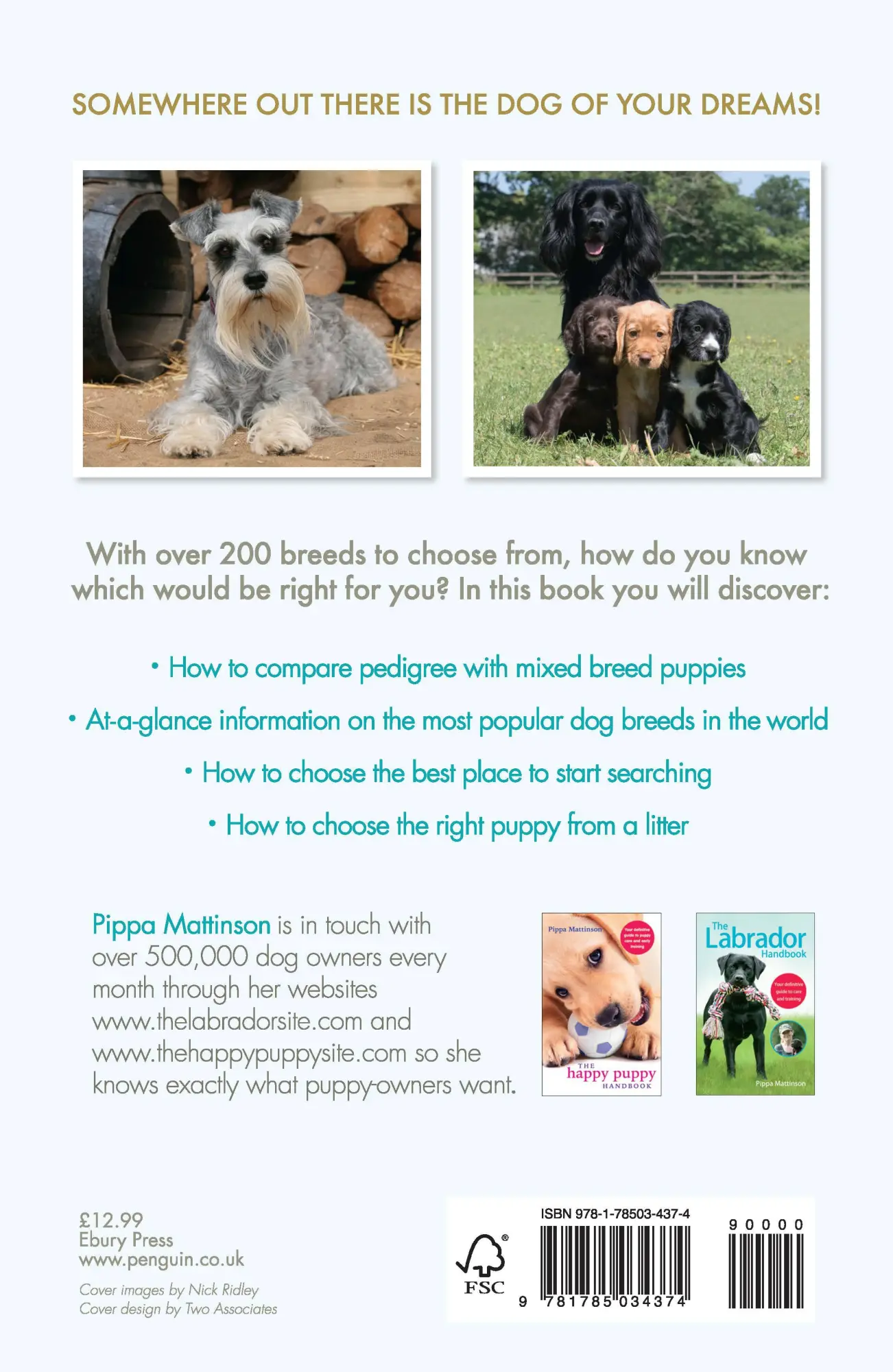 Rückseite: 9781785034374 | Choosing the Perfect Puppy | Pippa Mattinson | Taschenbuch | Englisch